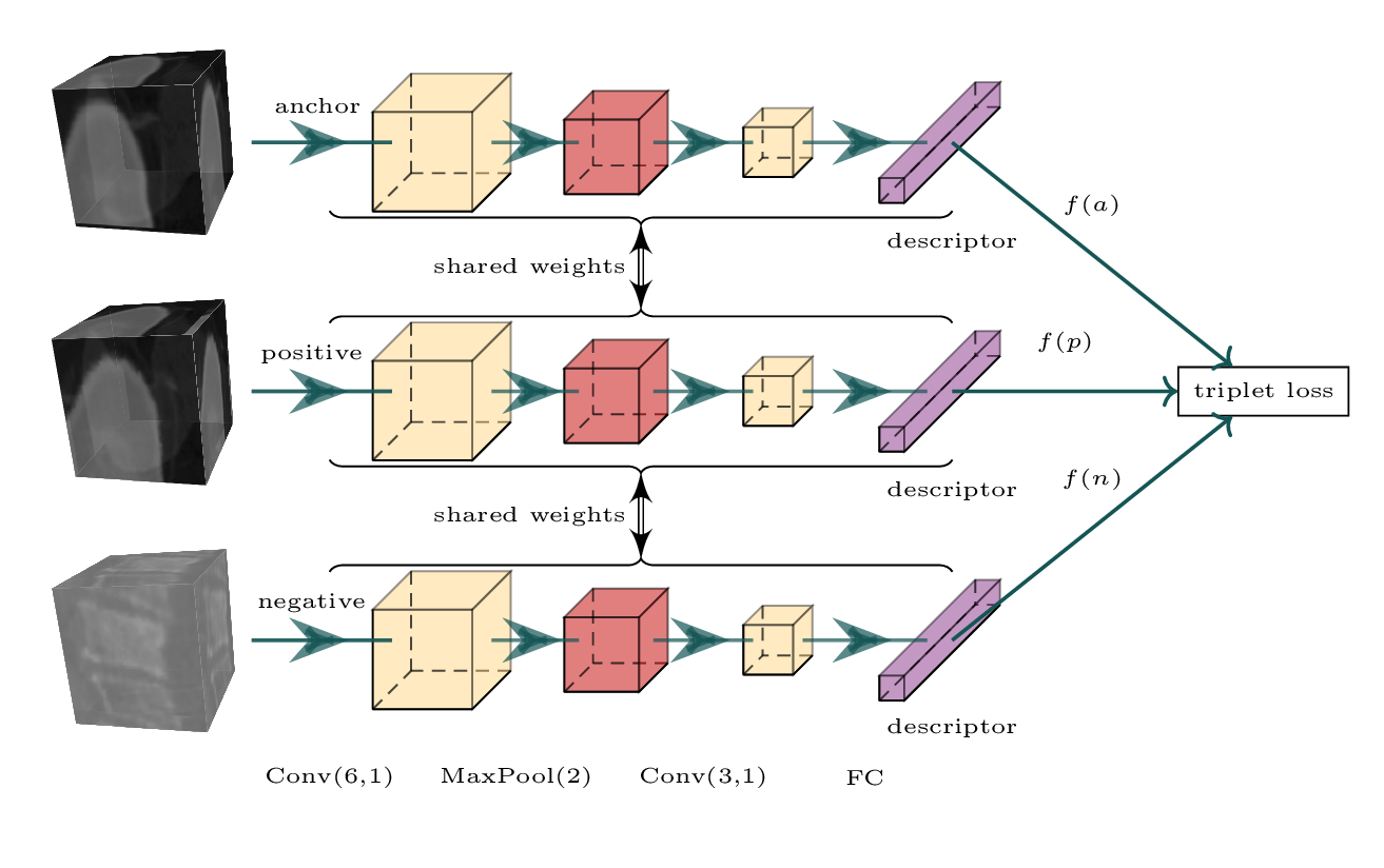 Learning D Medical Image Patch Descriptors With The Triplet Loss