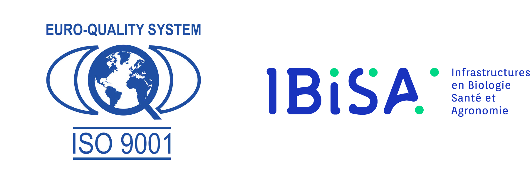 Logo Euroquality plus IBiSA
